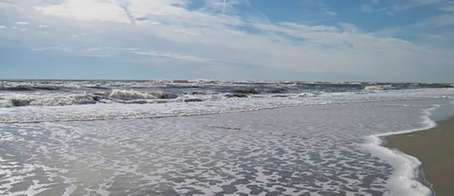 Beach during the day
